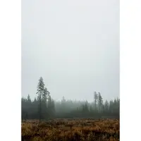 Fine Little Day Skog-juliste 70 x 100 cm
