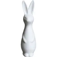 DBKD Swedish rabbit large White