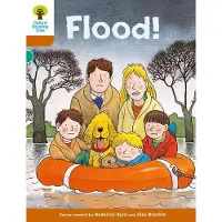 Roderick Hunt Oxford Reading Tree: Level 8: More Stories: Flood!