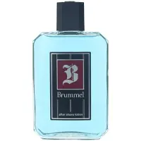 Antonio Puig Brummel Partavesi 250 ml