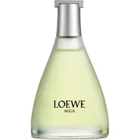 LOEWE Agua Eau de Toilette -tuoksu unisex 100 ml