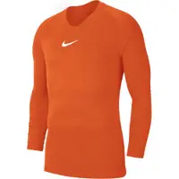 Nike Kerrasto 'Park First' oranssi / valkoinen