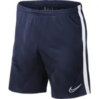 Nike Dry Academy 19 Shortsit