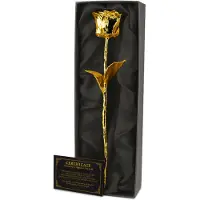Mikamax 24K Kultainen Ruusu - Gold