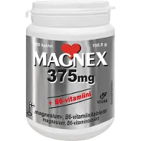Magnex 375 mg +B6-Vitamiini 70 kpl