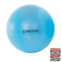 Gymstick Active Exercise Fitball