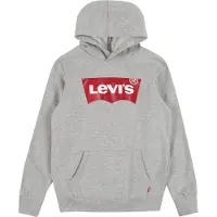 Levi's Kids Batwing Screenprint Hooded Pullover - Grey - 104