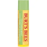 Raw Organic BURT'S BEES LIP BALM CUCUMBER MINT 4,25G