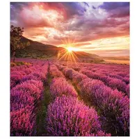 Samsung SMART LED SIGNAGE INDOOR LED IF015BAS CABINET