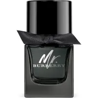 Burberry Mr. , EdP 50ml
