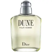 Dior Dune EDT - 100 ml