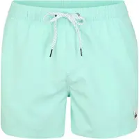 Quiksilver Everyday Volley 15 Surffishortsit beach glass Koko XL