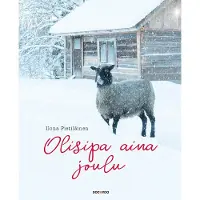 Docendo Ilona Pietiläinen: Olisipa aina joulu