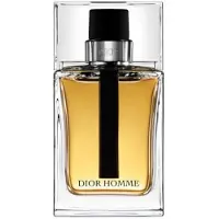 Dior Homme Eau de Toilette 100 ml