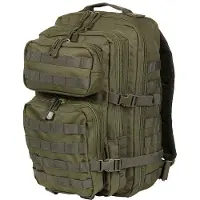 101 Inc Mountain Pack 45L (Color: Olive)