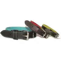 Annan Tillverkare Coneck't Dog Collar Every Day Life Leather - Blue (Size: Medium)