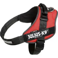 JULIUS K-9 Idc Koiran Valjaat