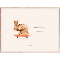 MADO Rocky the Rabbit juliste 40 x 30 cm