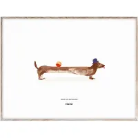 MADO Doug the Dachshund juliste, 40 x 30 cm