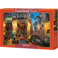 Castorland Our Special Place in Venice 3000p palapeli