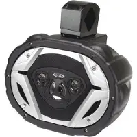 Boss Audio Systems Mrwt69 Wake Tower-kaiutin