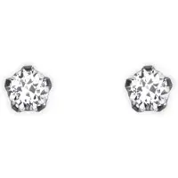 Tammi Jewellery S4460 Puro korvakorut