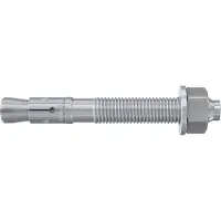Fischer Ankkuriruuvvi FBN II; 12x256 mm; 20 kpl.
