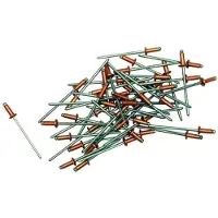 Gesipa K11 5 X 20 Mm Niitti 250 Yksiköt