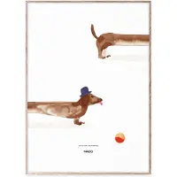MADO Doug the Dachshund juliste, 50 x 70 cm