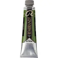 Taidepiste Rembrandt öljy 40ml 623 Sap Green
