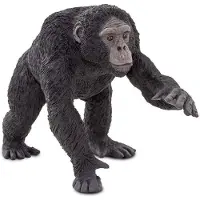 Safari Ltd Simpanssin Figuuri