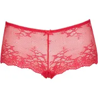 Lingadore Hipsterit 'DAILY LACE' punainen