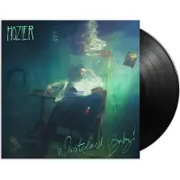 Universal Music Hozier: Wasteland baby! (2 Vinyl LP)