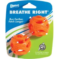 Chuckit! Chuckit - Breathe Right Fetch Ball - Medium - 6,5cm - 2 pk - (CHUC32141)