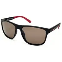 RIGEL - Polarized Brown Stellar C40.1 5817