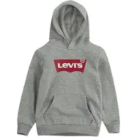 Levi's Screenprint Batwing Pullover Hoodie - Grey - 164