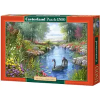 Castorland Andres Orpinas : Black Swans 1500p palapeli