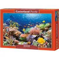 Castorland Coral Reef 1000p palapeli