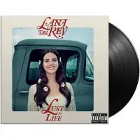 POLYDOR - Lust For Life (2 LP)