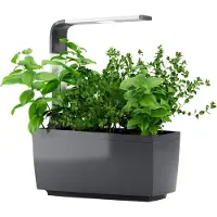 Tregren Kitchen Garden T6 Harmaa