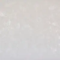 Sandudd 2941-1 Pinta non-woven tapetti