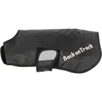 Back on track Hugo koiran takki