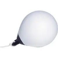 Talamex Poiju