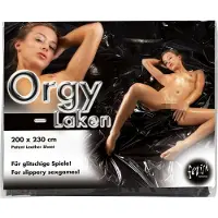 Fetish Orgy Sheet - Vinyylilakana