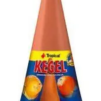 Tropical Kegel spawning cone (84001)