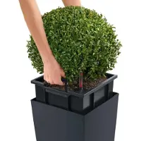 Lechuza plantekrukke Cubico Color 30 ALL-IN-ONE skifergrå 13138