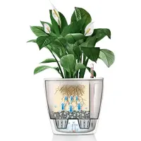 Lechuza plantekasse Classico 28 LS ALL-IN-ONE højglans hvid 16040