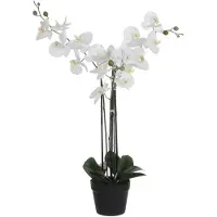 Mica Decorations Mica 79cm orkidea silkkikukka