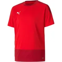 Puma Treenipaita Teamgoal 23 - Punainen/punainen Lapset, koko YL/152 cm