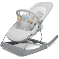 Aden + Anais Aden+ Anais 3-in-1 Transition Sitteri